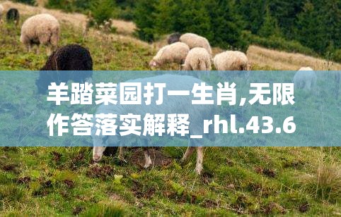 上海莲画科技有限公司 第157页
