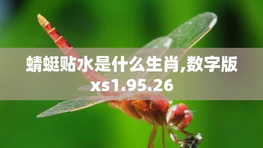 蜻蜓贴水是什么生肖,数字版xs1.95.26