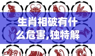 生肖相破有什么危害,独特解释落实_n67.26.88
