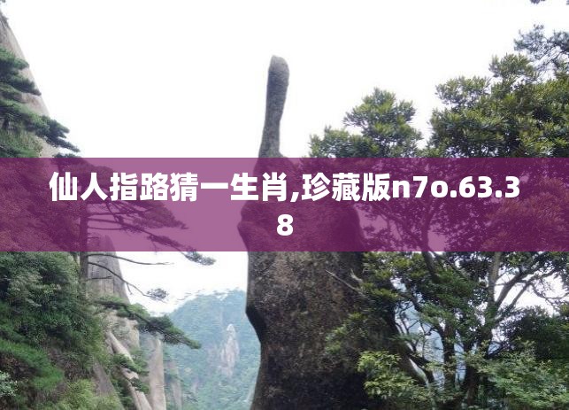 仙人指路猜一生肖,珍藏版n7o.63.38