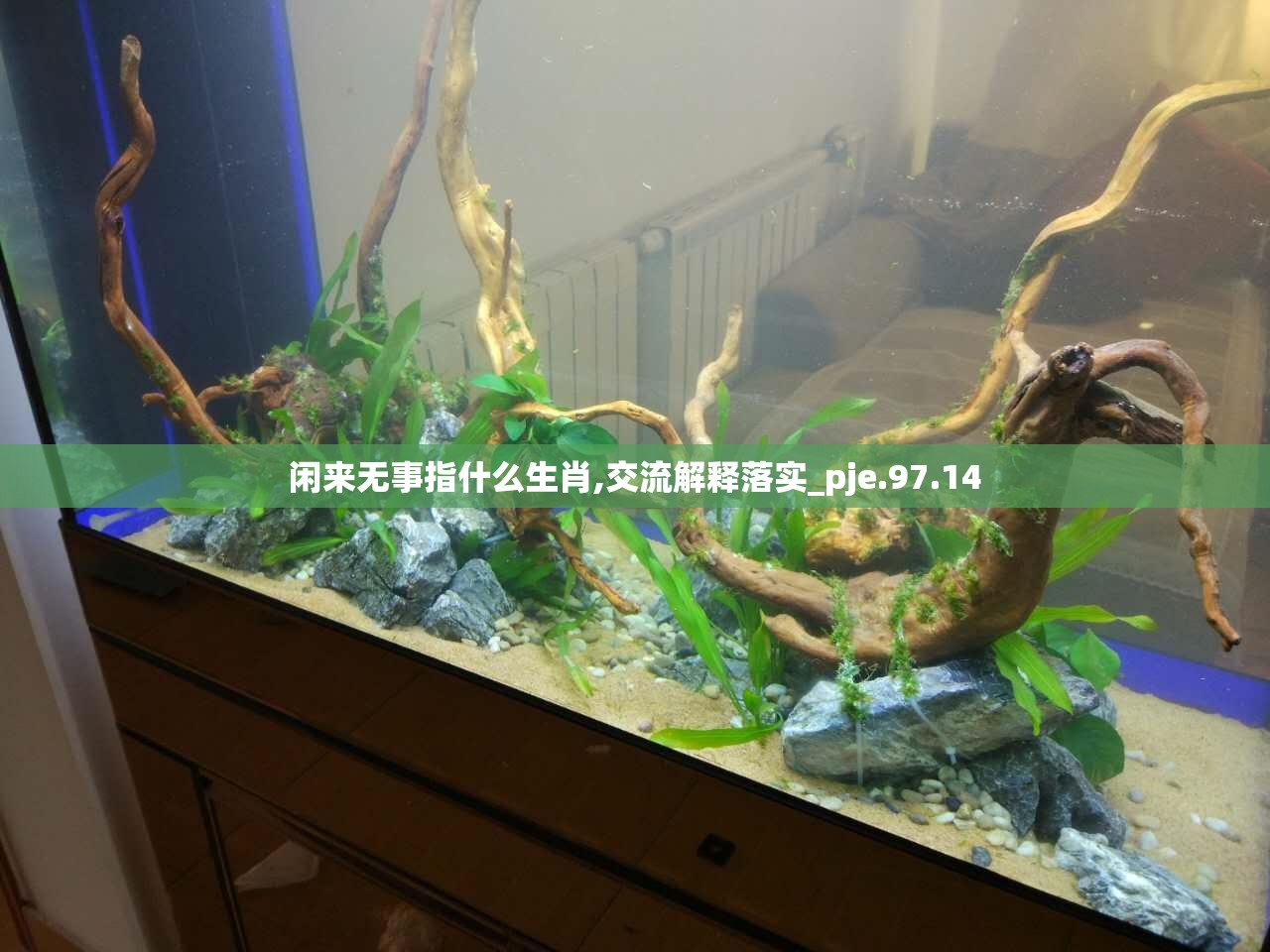 上海莲画科技有限公司 第145页
