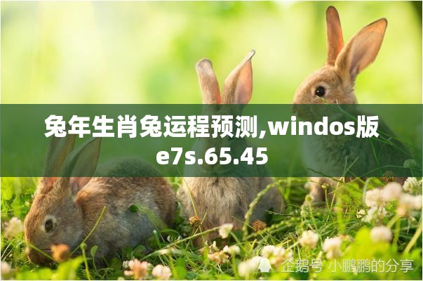 兔年生肖兔运程预测,windos版e7s.65.45