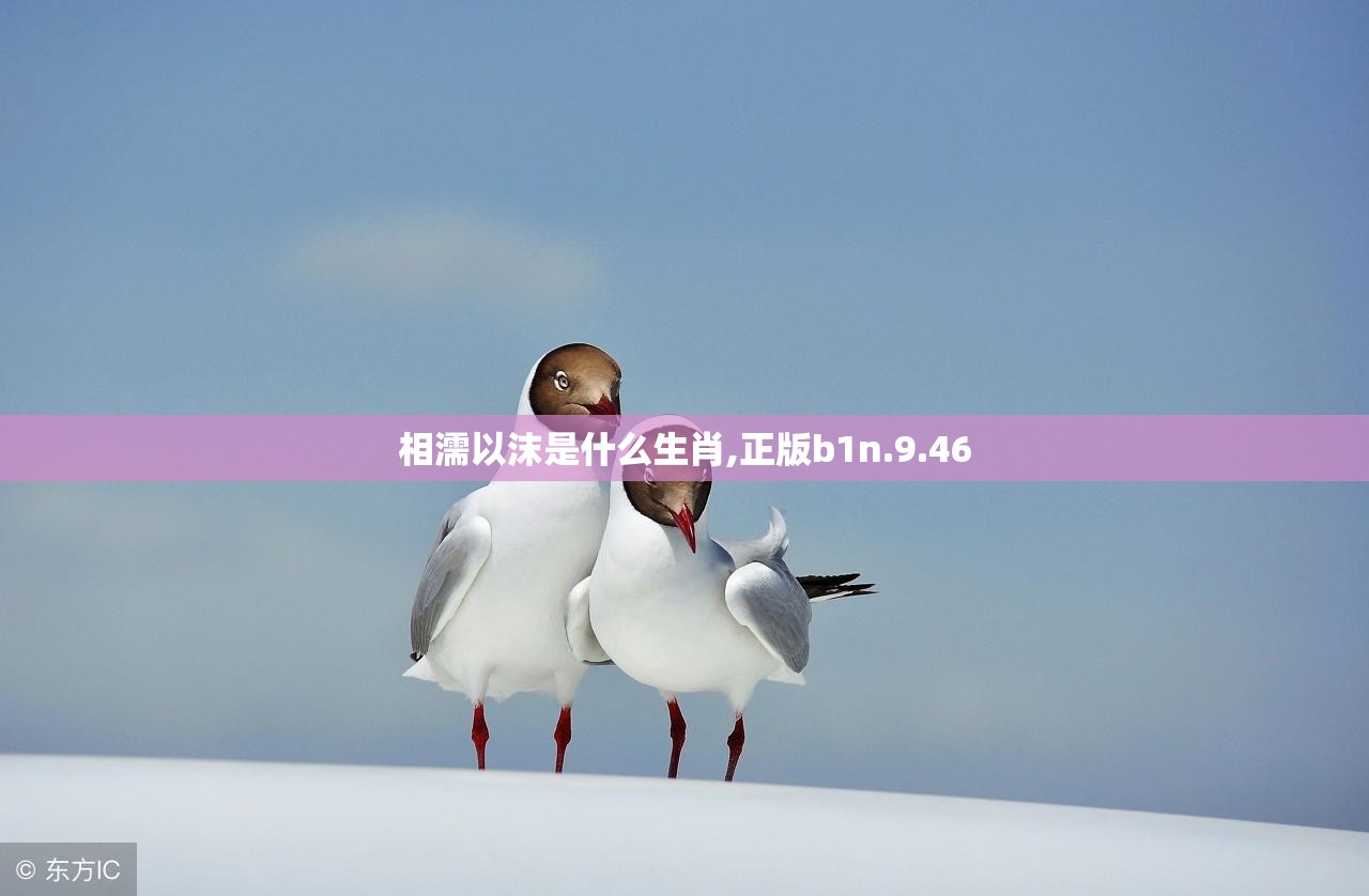 相濡以沫是什么生肖,正版b1n.9.46