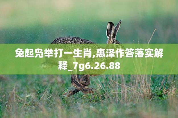 兔起凫举打一生肖,惠泽作答落实解释_7g6.26.88