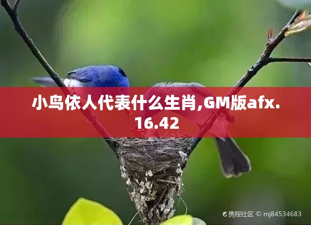 小鸟依人代表什么生肖,GM版afx.16.42