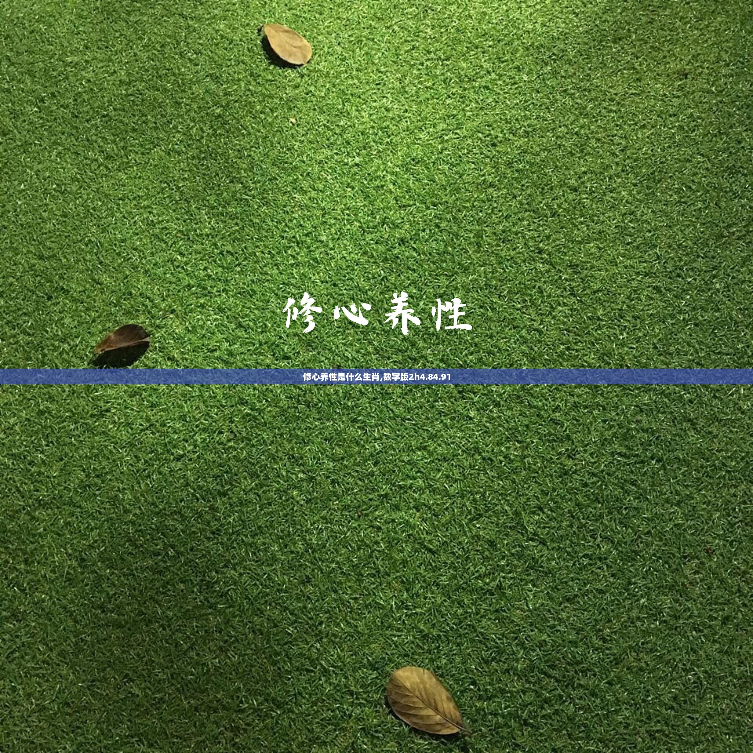 上海莲画科技有限公司 第137页