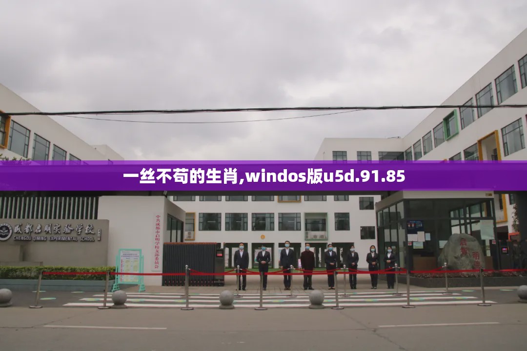 一丝不苟的生肖,windos版u5d.91.85