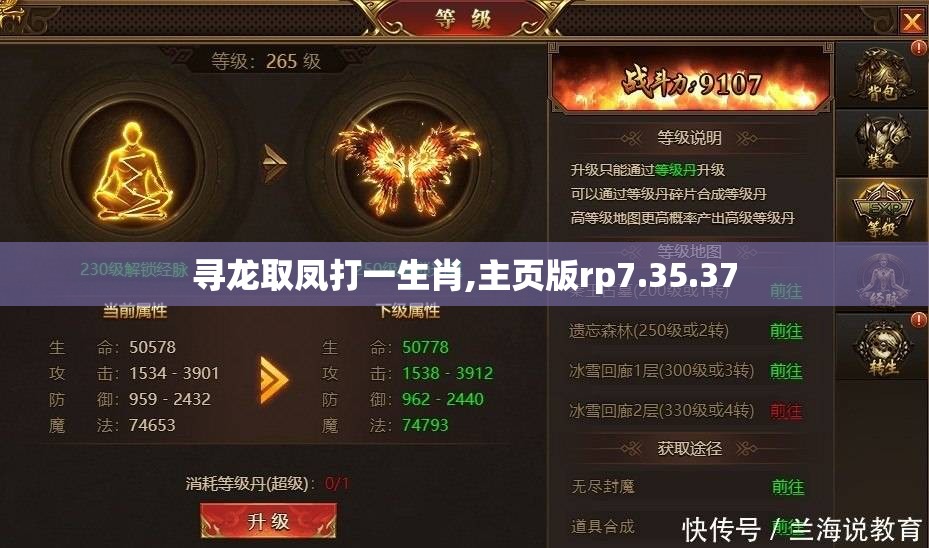 寻龙取凤打一生肖,主页版rp7.35.37