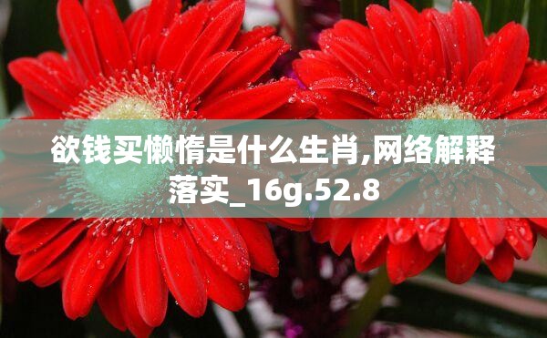 欲钱买懒惰是什么生肖,网络解释落实_16g.52.8
