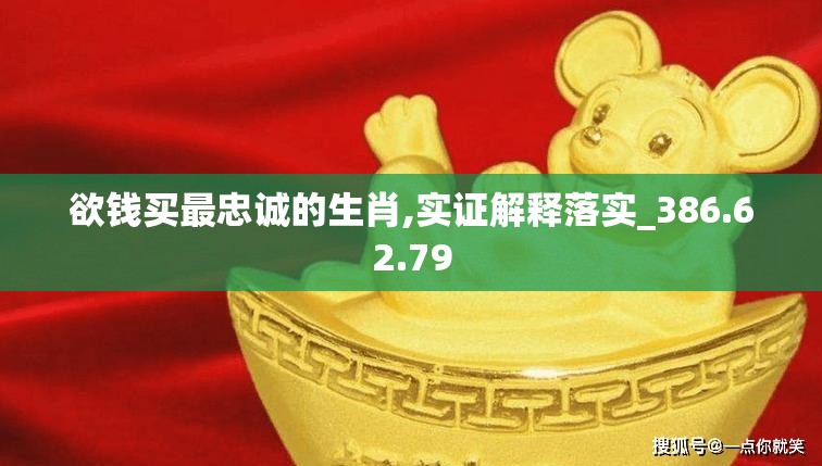 欲钱买最忠诚的生肖,实证解释落实_386.62.79