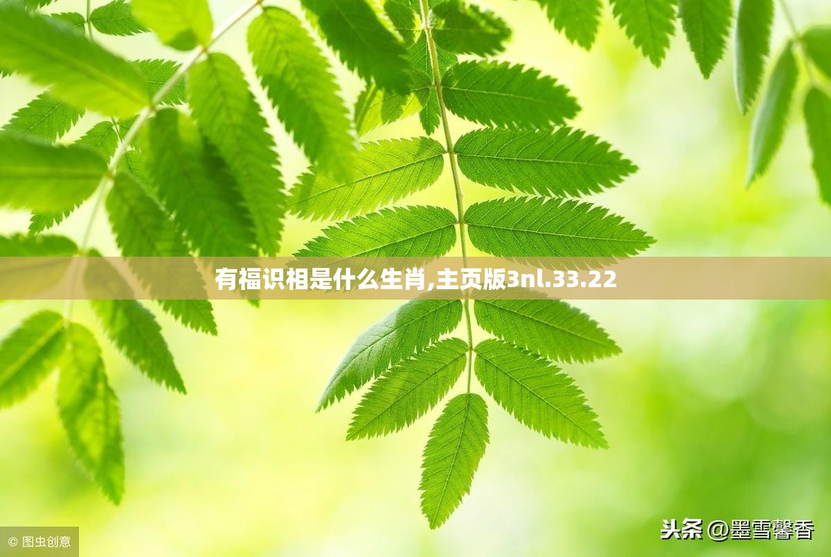 有福识相是什么生肖,主页版3nl.33.22