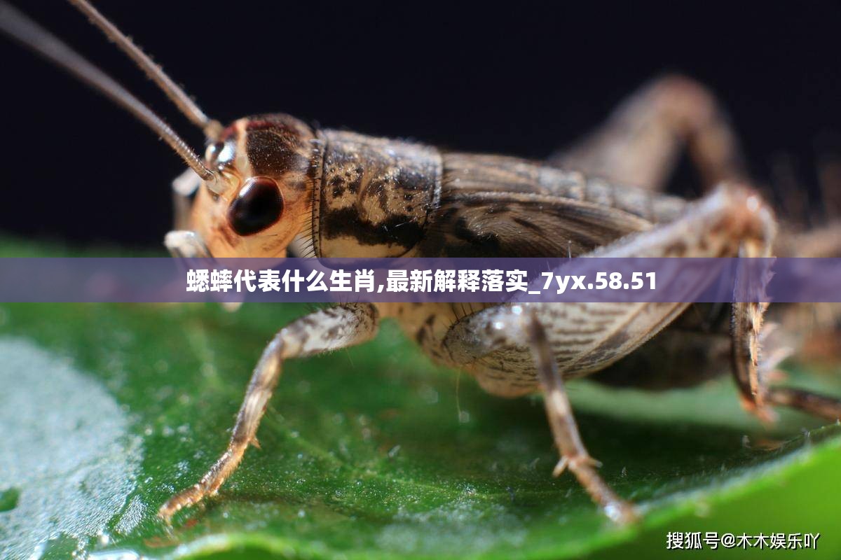 蟋蟀代表什么生肖,最新解释落实_7yx.58.51