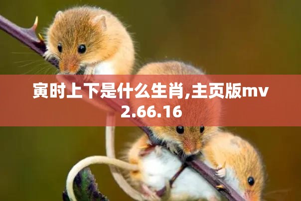 寅时上下是什么生肖,主页版mv2.66.16