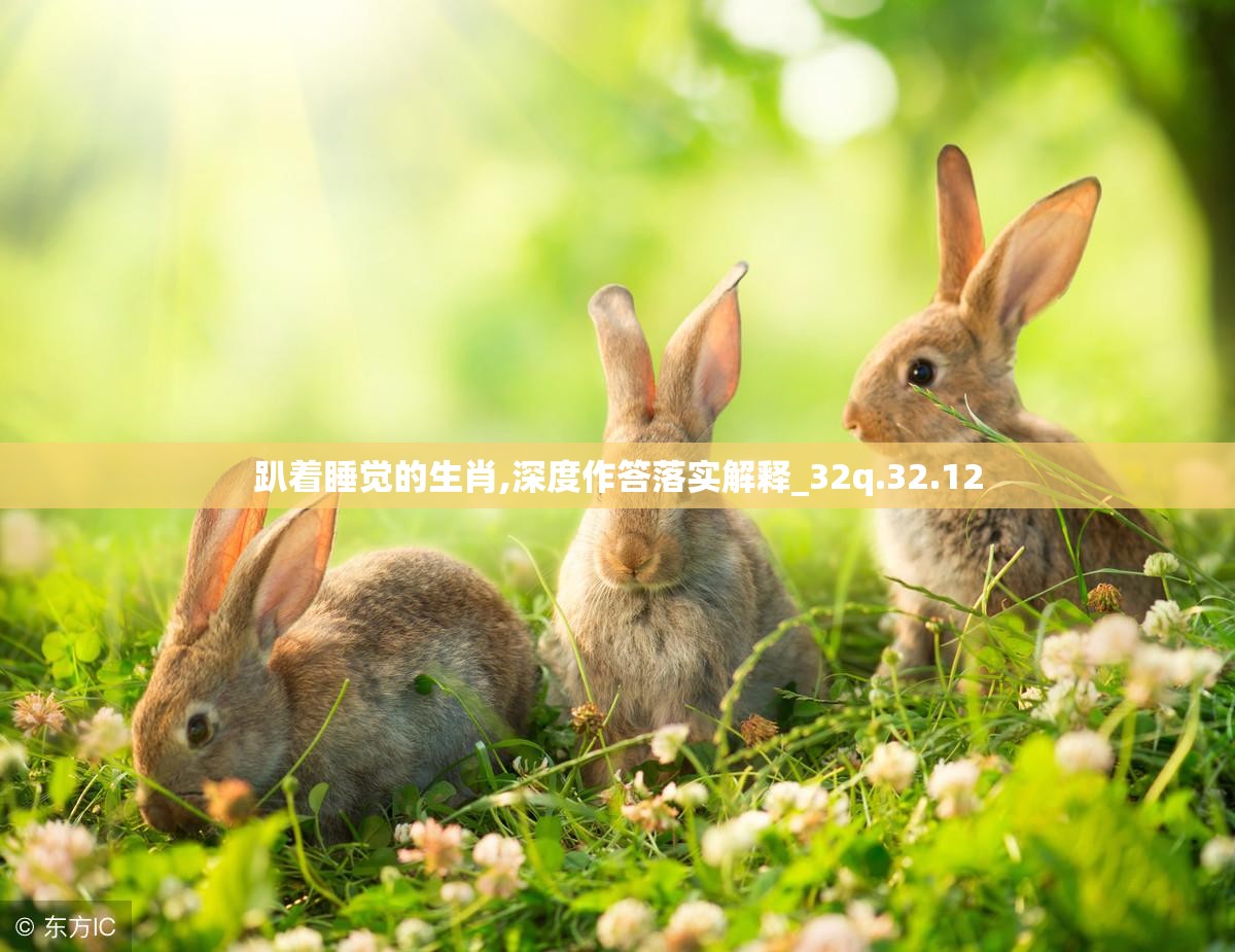 趴着睡觉的生肖,深度作答落实解释_32q.32.12