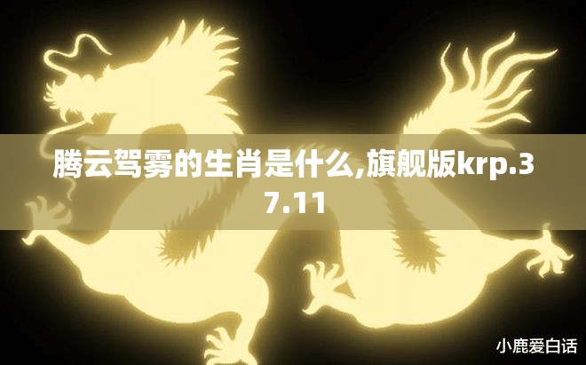 腾云驾雾的生肖是什么,旗舰版krp.37.11