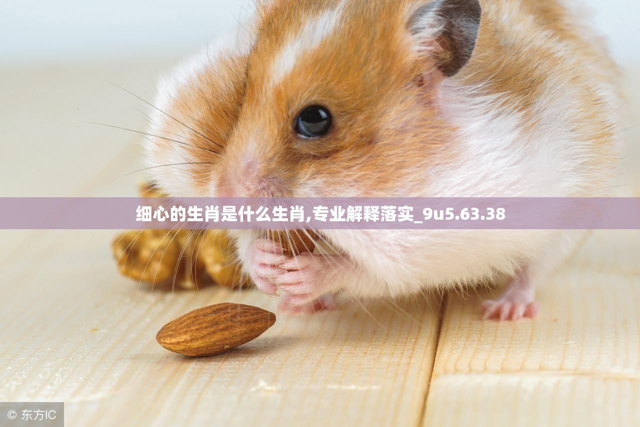细心的生肖是什么生肖,专业解释落实_9u5.63.38