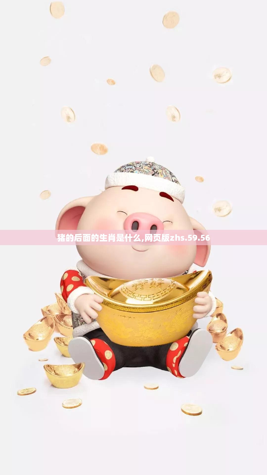 猪的后面的生肖是什么,网页版zhs.59.56