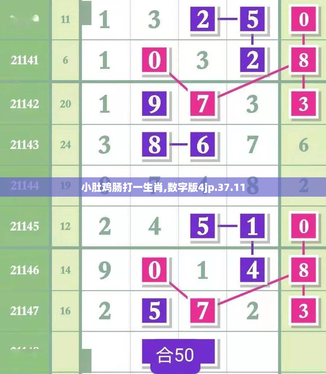 小肚鸡肠打一生肖,数字版4jp.37.11