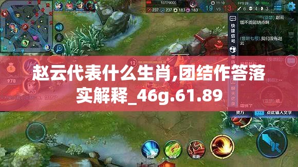 赵云代表什么生肖,团结作答落实解释_46g.61.89
