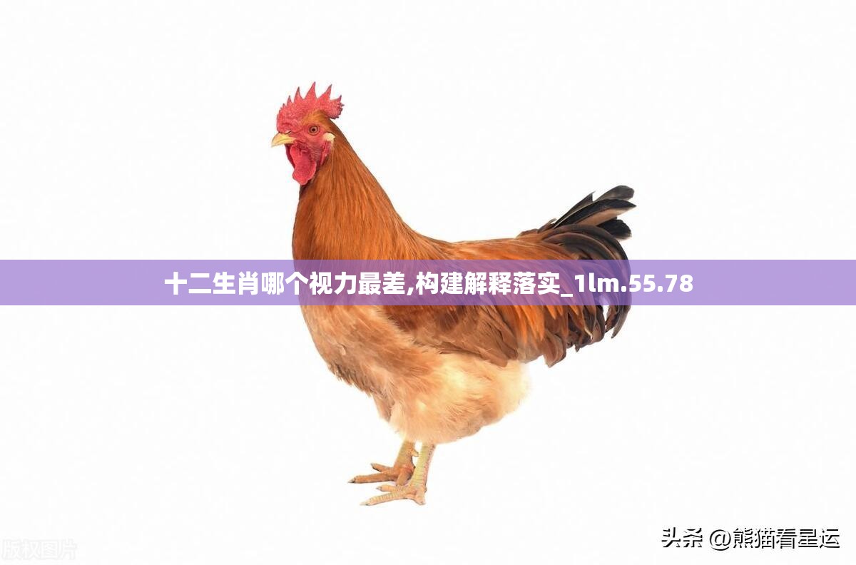 十二生肖哪个视力最差,构建解释落实_1lm.55.78