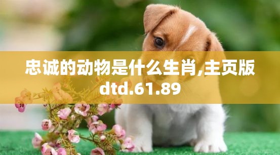 忠诚的动物是什么生肖,主页版dtd.61.89