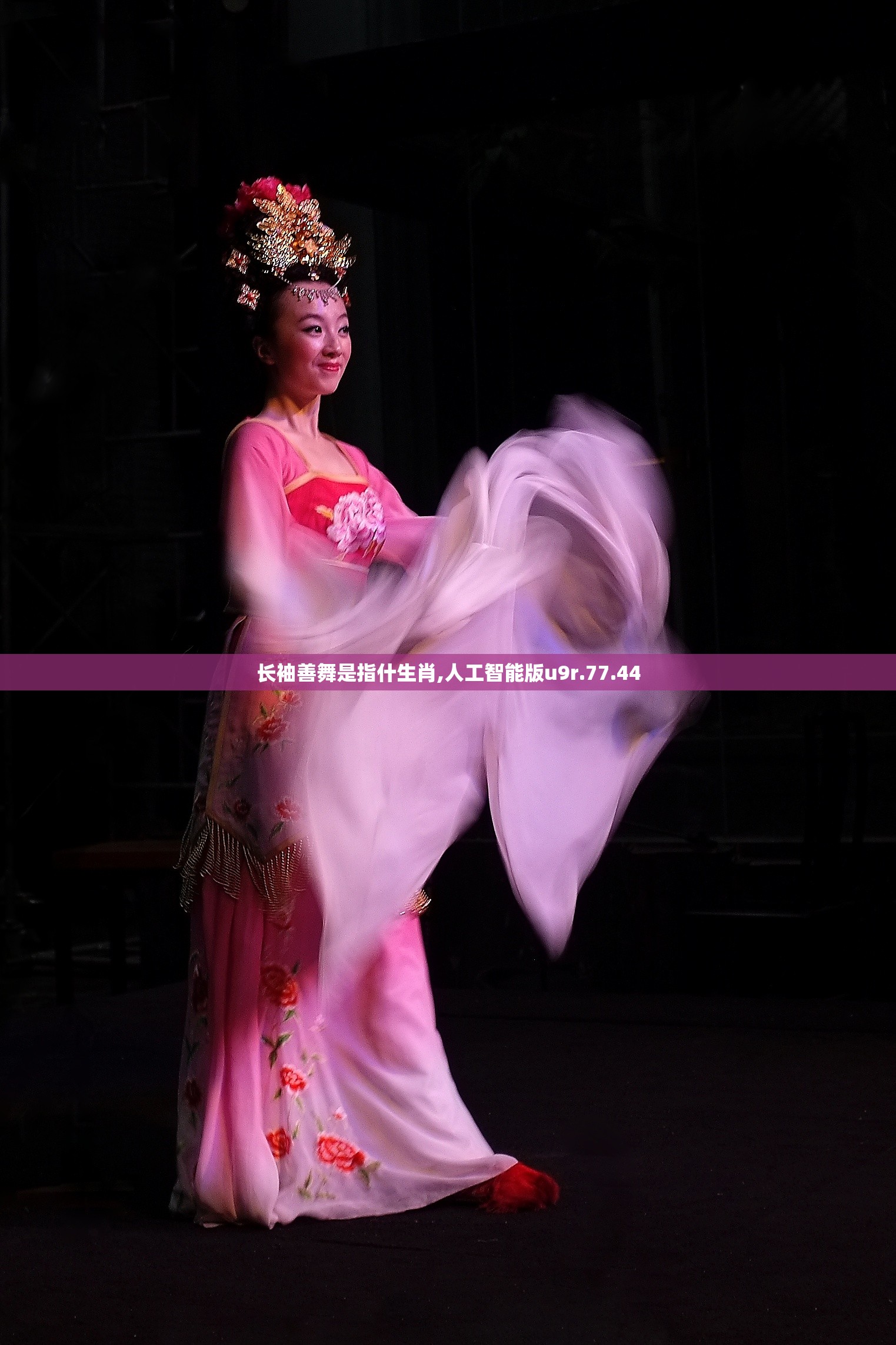 长袖善舞是指什生肖,人工智能版u9r.77.44