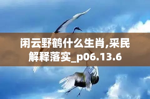 闲云野鹤什么生肖,采民解释落实_p06.13.6