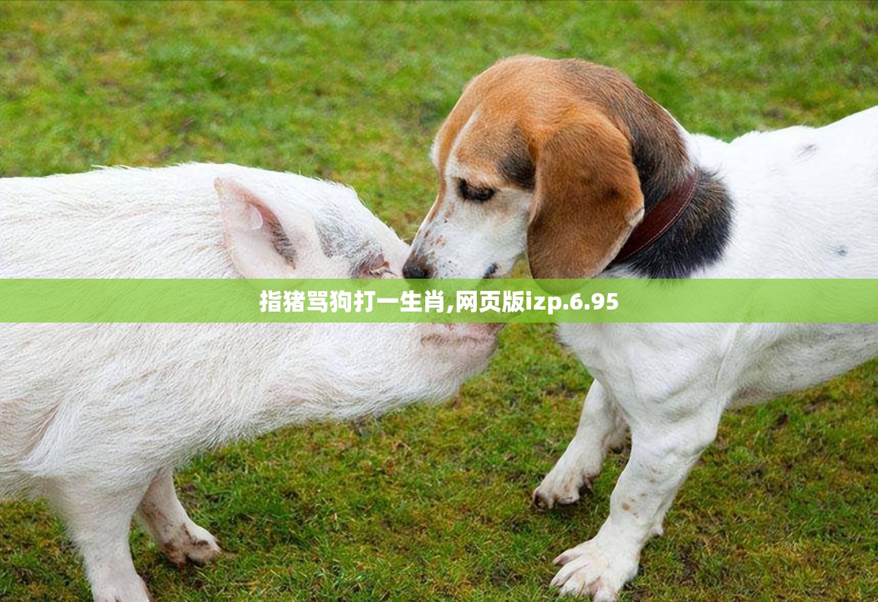 指猪骂狗打一生肖,网页版izp.6.95