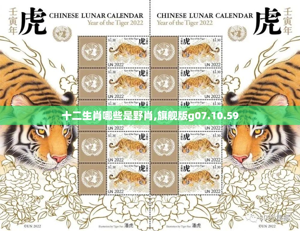 十二生肖哪些是野肖,旗舰版g07.10.59
