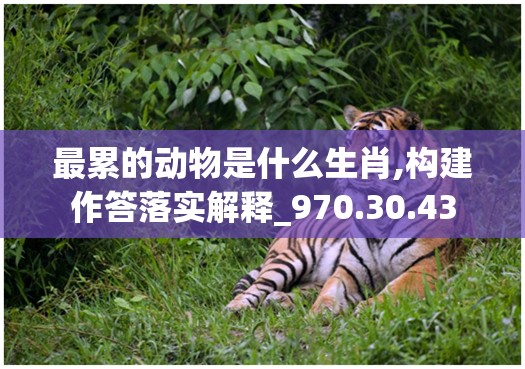 最累的动物是什么生肖,构建作答落实解释_970.30.43