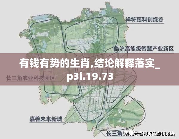 有钱有势的生肖,结论解释落实_p3i.19.73
