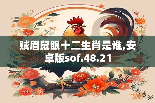 贼眉鼠眼十二生肖是谁,安卓版sof.48.21