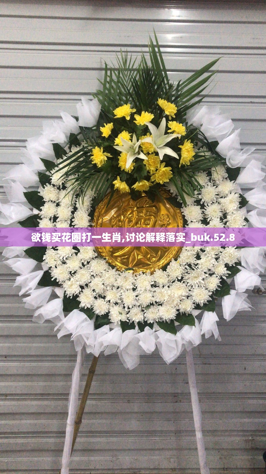 欲钱买花圈打一生肖,讨论解释落实_buk.52.8