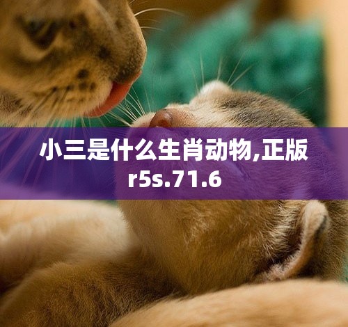 小三是什么生肖动物,正版r5s.71.6
