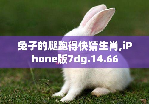 兔子的腿跑得快猜生肖,iPhone版7dg.14.66