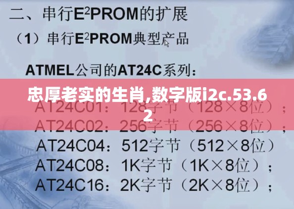 忠厚老实的生肖,数字版i2c.53.62