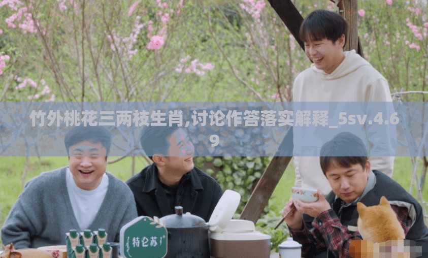 竹外桃花三两枝生肖,讨论作答落实解释_5sv.4.69