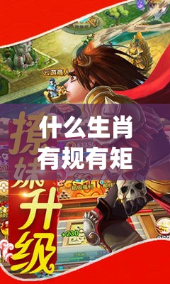 什么生肖有规有矩,GM版92g.97.14