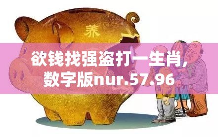 欲钱找强盗打一生肖,数字版nur.57.96