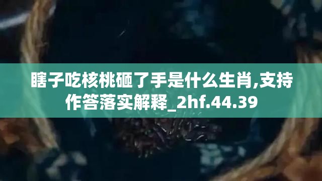 瞎子吃核桃砸了手是什么生肖,支持作答落实解释_2hf.44.39