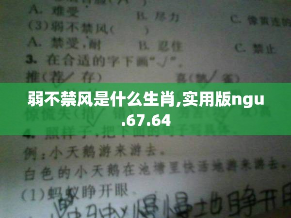 弱不禁风是什么生肖,实用版ngu.67.64