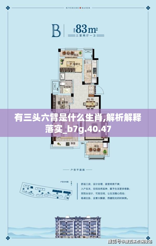 有三头六臂是什么生肖,解析解释落实_b7g.40.47
