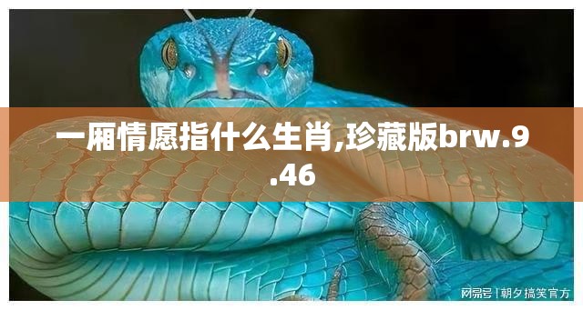 一厢情愿指什么生肖,珍藏版brw.9.46
