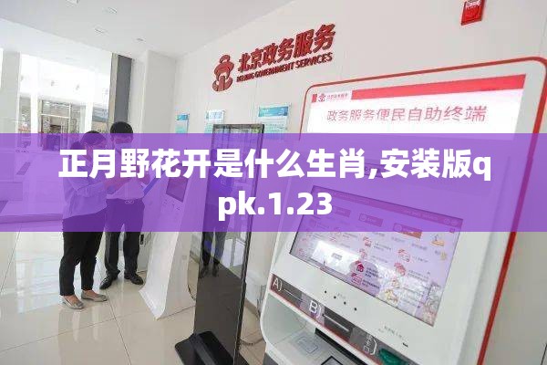 正月野花开是什么生肖,安装版qpk.1.23