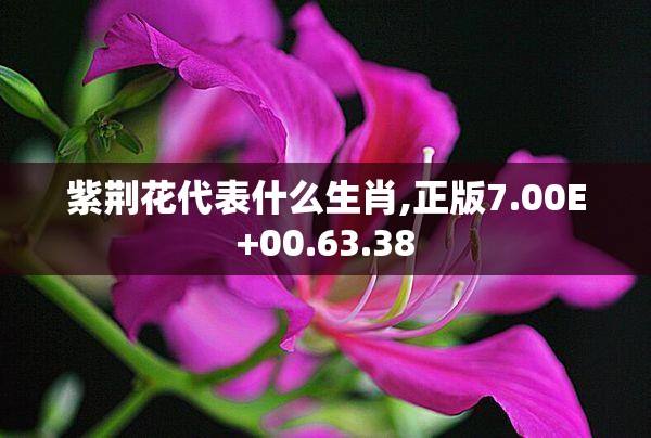 紫荆花代表什么生肖,正版7.00E+00.63.38