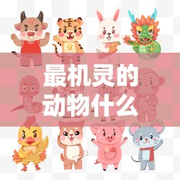 最机灵的动物什么生肖,主页版tw1.51.98