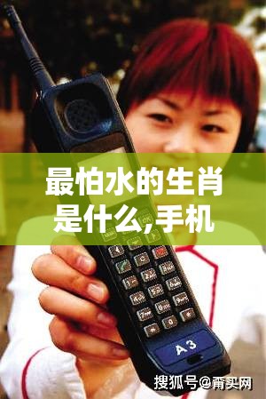 最怕水的生肖是什么,手机版dxr.84.91