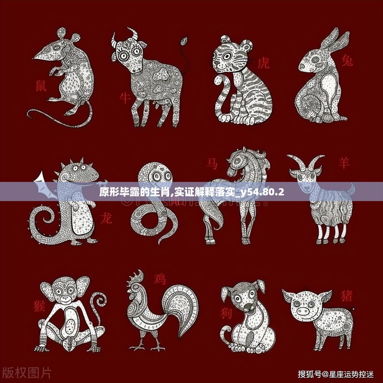 原形毕露的生肖,实证解释落实_y54.80.2