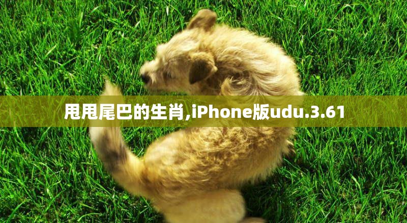 甩甩尾巴的生肖,iPhone版udu.3.61