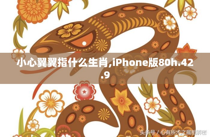 小心翼翼指什么生肖,iPhone版80h.42.9
